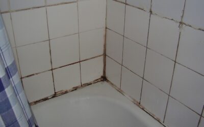 How to Get Rid of Mould on Walls