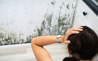 Is Your Family Secretly at Risk? The Hidden Health  Dangers of Home Mold in Singapore