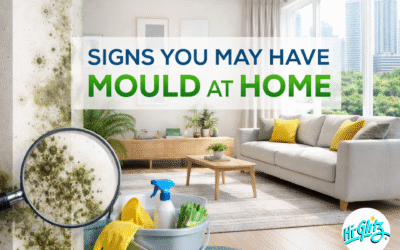 Signs You May Have Mould at Home in Singapore